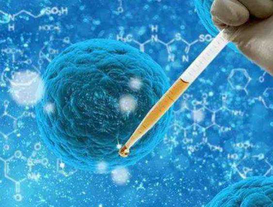 排三个卵泡受孕的概率大吗?~国内试管代妈公司