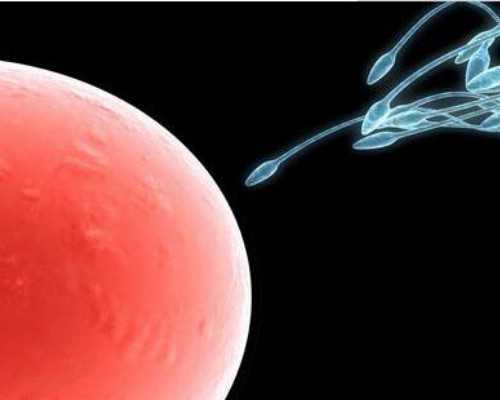 先天性卵巢功能发育不全能自然怀孕吗？~代怀公司费用