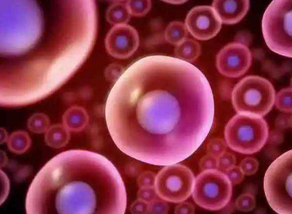 北京高龄失独试管双胞胎~供卵代生费用